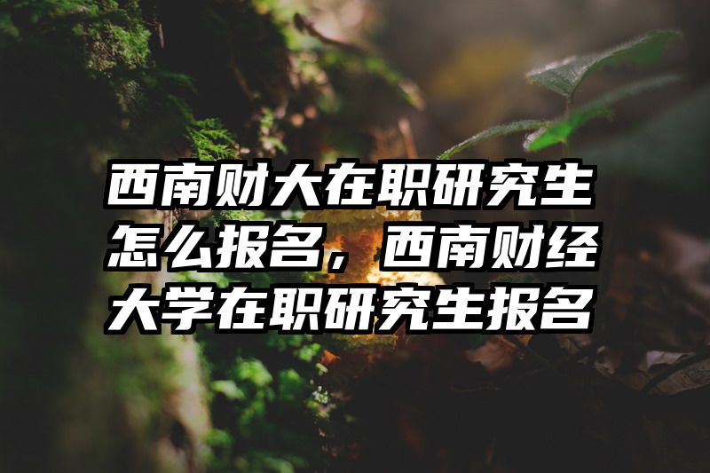 西南财大在职研究生怎么报名，西南财经大学在职研究生报名