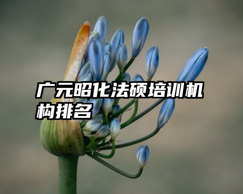 广元昭化法硕培训机构排名