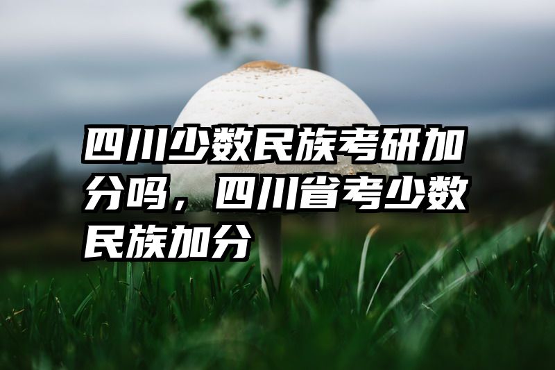 四川少数民族考研加分吗，四川省考少数民族加分
