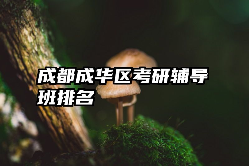 成都成华区考研辅导班排名