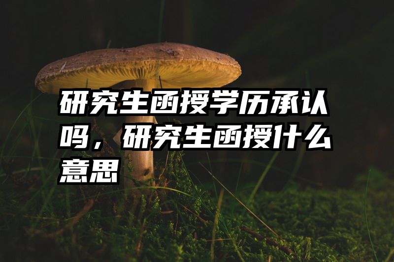 研究生函授学历承认吗,研究生函授什么意思