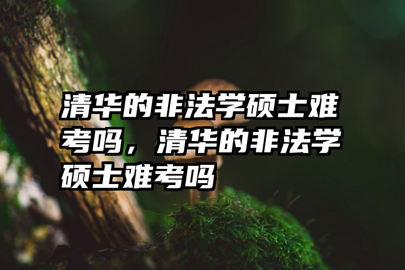 清华的非法学硕士难考吗,清华的非法学硕士难考吗