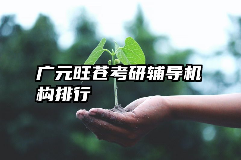 广元旺苍考研辅导机构排行