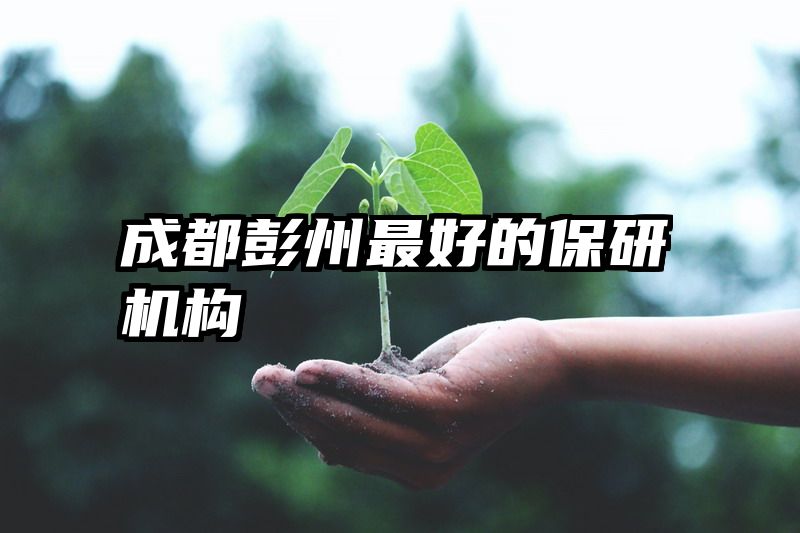 成都彭州最好的保研机构