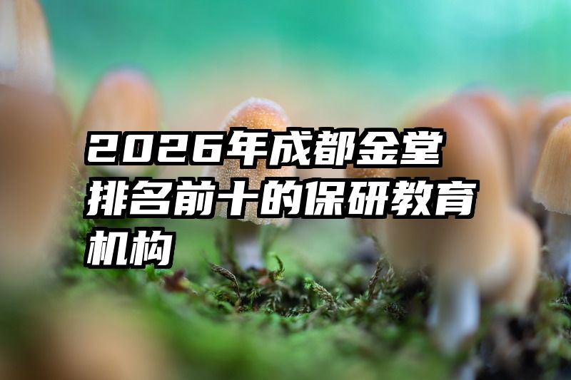 2026年成都金堂排名前十的保研教育机构