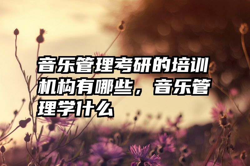音乐管理考研的培训机构有哪些，音乐管理学什么