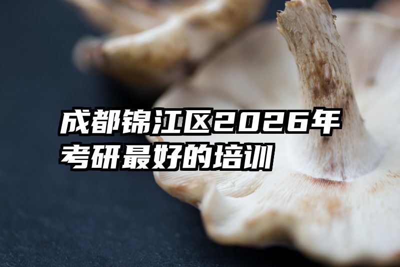 成都锦江区2026年考研最好的培训