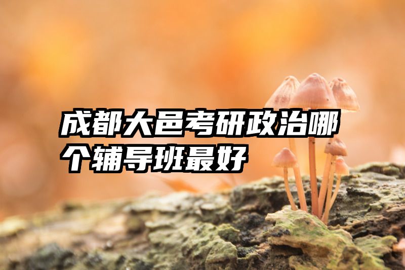 成都大邑考研政治哪个辅导班最好