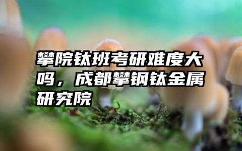 攀院钛班考研难度大吗，成都攀钢钛金属研究院
