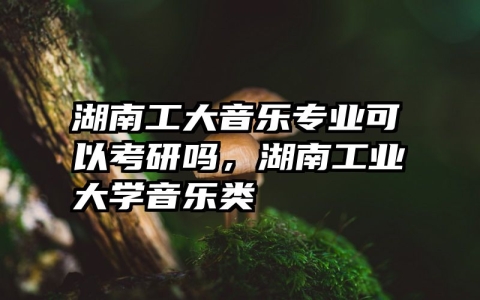 湖南工大音乐专业可以考研吗，湖南工业大学音乐类
