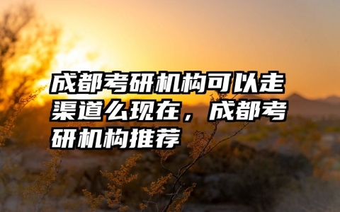 成都考研机构可以走渠道么现在，成都考研机构推荐