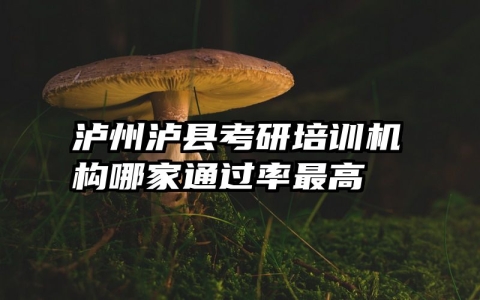 泸州泸县考研培训机构哪家通过率最高