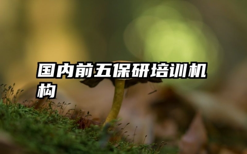 国内前五保研培训机构