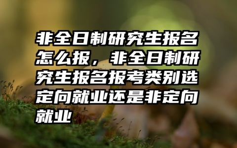 非全日制研究生报名怎么报，非全日制研究生报名报考类别选定向就业还是非定向就业