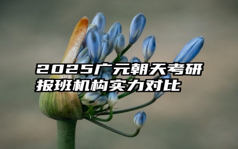 2025广元朝天考研报班机构实力对比