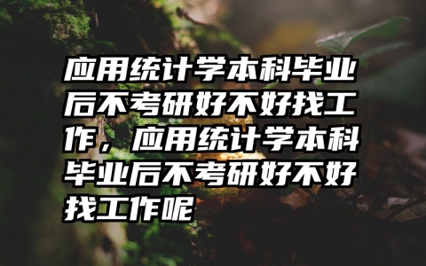应用统计学本科毕业后不考研好不好找工作，应用统计学本科毕业后不考研好不好找工作呢
