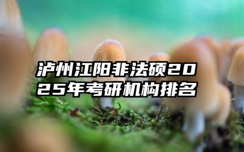 泸州江阳非法硕2025年考研机构排名