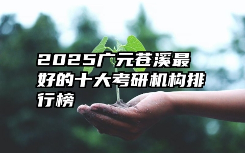 2025广元苍溪最好的十大考研机构排行榜