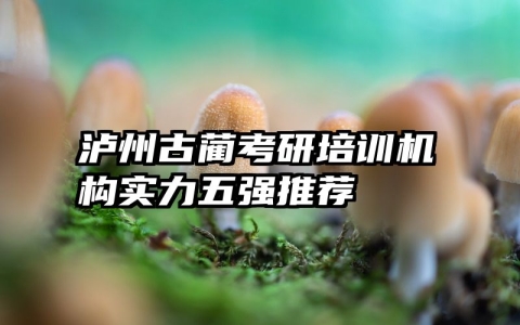 泸州古蔺考研培训机构实力五强推荐