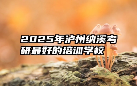 2025年泸州纳溪考研最好的培训学校