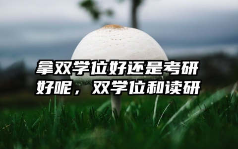 拿双学位好还是考研好呢，双学位和读研