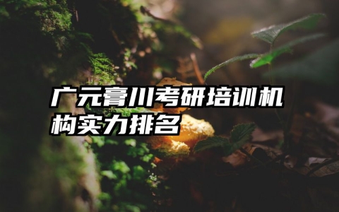 广元膏川考研培训机构实力排名