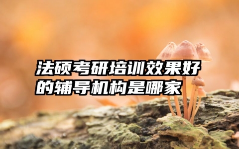 法硕考研培训效果好的辅导机构是哪家