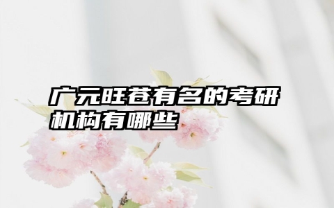 广元旺苍有名的考研机构有哪些