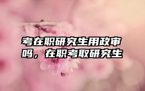 考在职研究生用政审吗，在职考取研究生