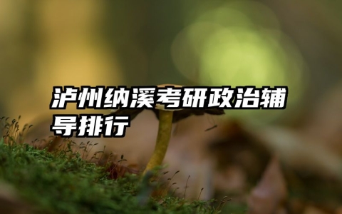 泸州纳溪考研政治辅导排行