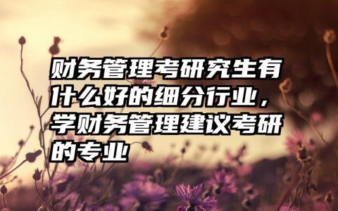 财务管理考研究生有什么好的细分行业，学财务管理建议考研的专业