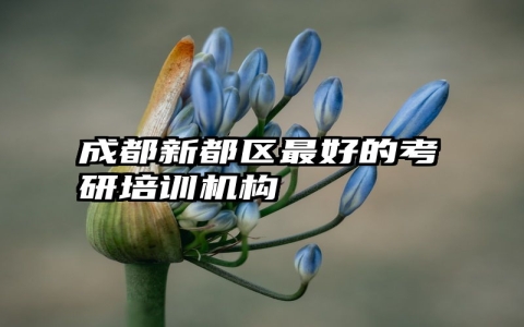 成都新都区最好的考研培训机构