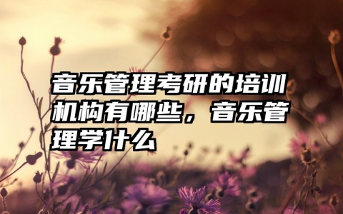 音乐管理考研的培训机构有哪些，音乐管理学什么