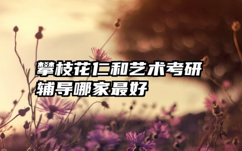 攀枝花仁和艺术考研辅导哪家最好
