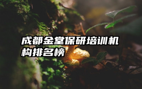 成都金堂保研培训机构排名榜