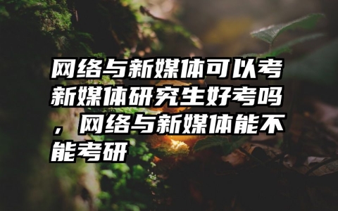 网络与新媒体可以考新媒体研究生好考吗，网络与新媒体能不能考研