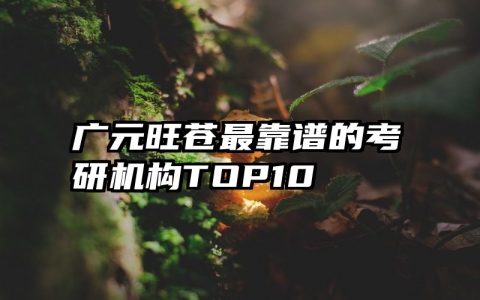 广元旺苍最靠谱的考研机构TOP10