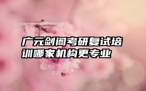 广元剑阁考研复试培训哪家机构更专业