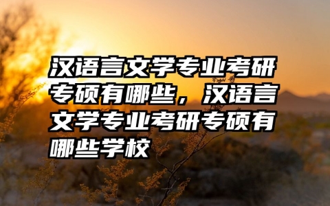 汉语言文学专业考研专硕有哪些，汉语言文学专业考研专硕有哪些学校