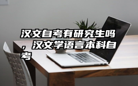 汉文自考有研究生吗，汉文学语言本科自考