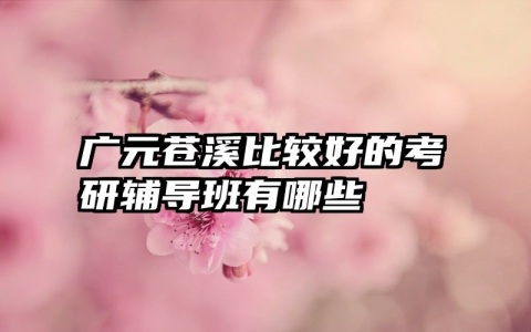 广元苍溪比较好的考研辅导班有哪些