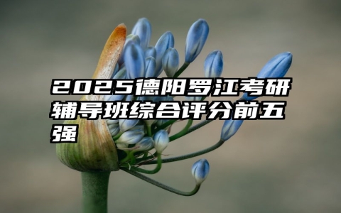 2025德阳罗江考研辅导班综合评分前五强