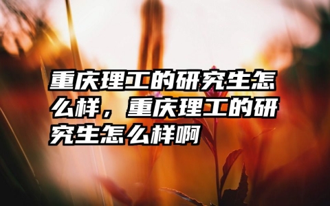 重庆理工的研究生怎么样，重庆理工的研究生怎么样啊