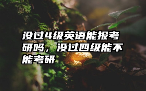 没过4级英语能报考研吗，没过四级能不能考研