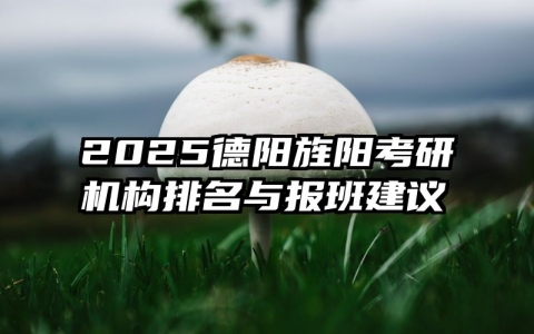 2025德阳旌阳考研机构排名与报班建议