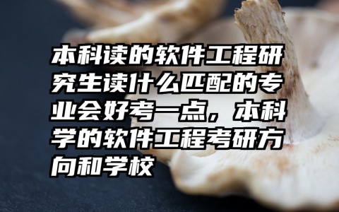 本科读的软件工程研究生读什么匹配的专业会好考一点，本科学的软件工程考研方向和学校