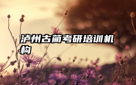 泸州古蔺考研培训机构