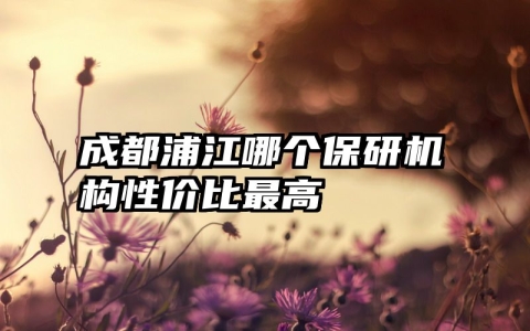成都浦江哪个保研机构性价比最高
