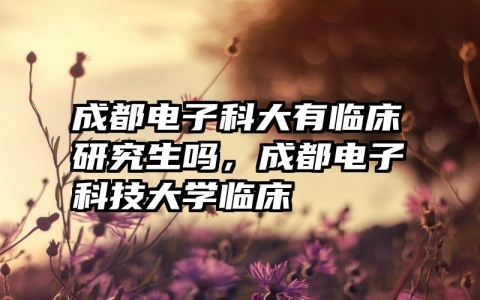 成都电子科大有临床研究生吗，成都电子科技大学临床