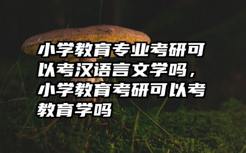 小学教育专业考研可以考汉语言文学吗，小学教育考研可以考教育学吗